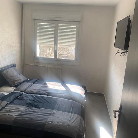 F3 Appartement 2 Chambre Un Salon Avec Wifi Saint-Jean-de-la-Ruelle Exteriér fotografie